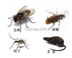 乾务专业饭堂灭蟑螂