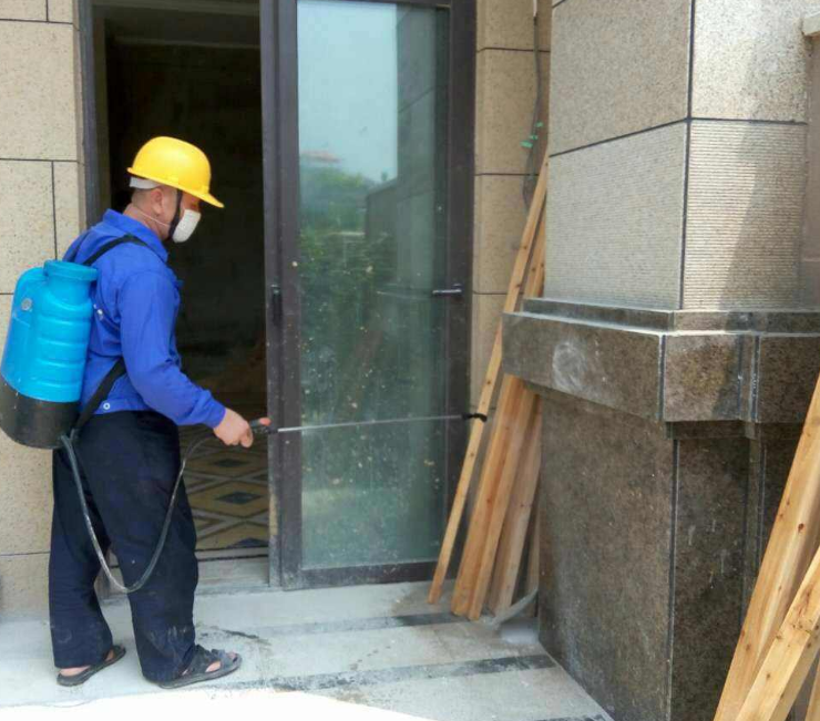 珠海白蚁防治